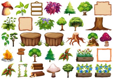 Dekor için doğa öğesi seti