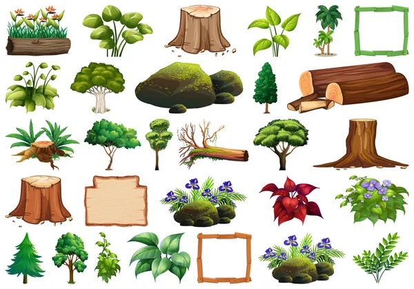 Ensemble de plantes ornementales — Image vectorielle