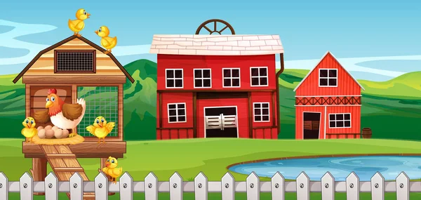 Scéna farmy s kuřaty — Stockový vektor