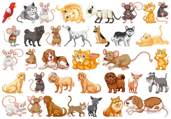 Conjunto de diferentes mascotas — Vector de stock