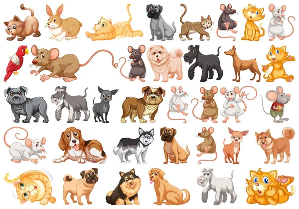 Reihe von Haustier-Charakteren — Stockvektor