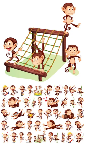 Set di scimmie allegre — Vettoriale Stock