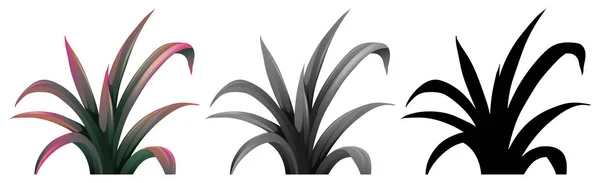 Ensemble de la même plante — Image vectorielle