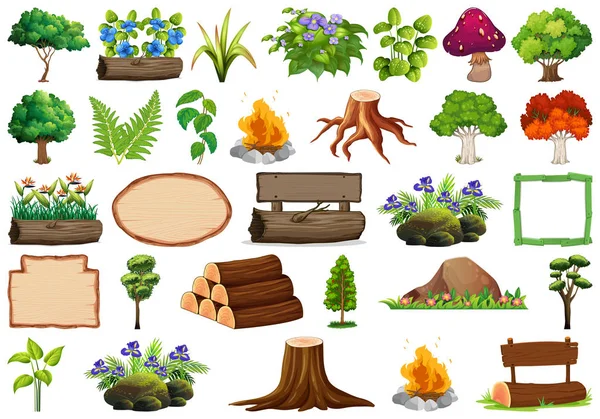 Ensemble de plantes ornementales — Image vectorielle