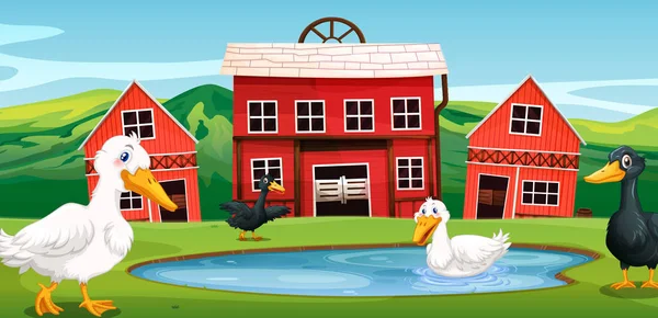 Pato na fazenda — Vetor de Stock