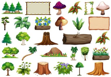 Doğa nesnesi kümesi