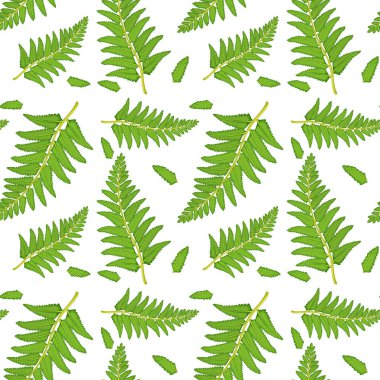 Eğrelti otu fronds ile Dikişsiz desen fayans karikatür