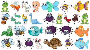 farklı hayvanların kümesi