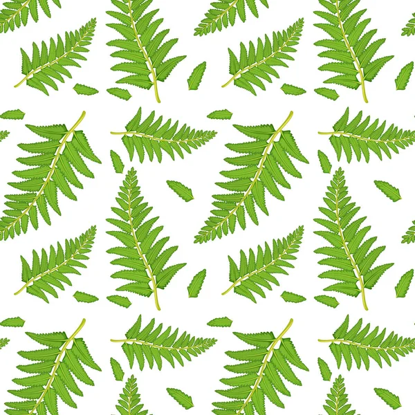 Seamless pattern tile cartoon with fern fronds — Stock Vector