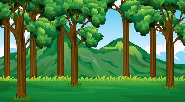 Paisaje de la naturaleza de fondo vacío — Vector de stock