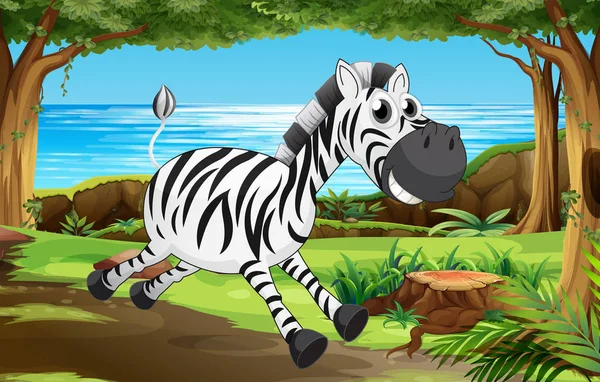 Zebra in jungle scene — Stock Vector