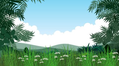 Boş arka plan doğa manzara