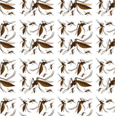 Dikişsiz ve izole hayvan desen karikatür