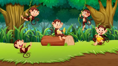 Maymun içinde Jungle sahne