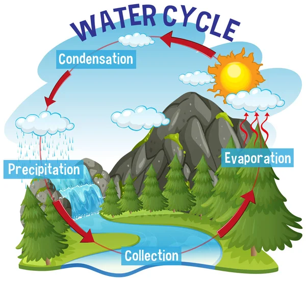 地球上の水循環プロセス - 科学的 — ストックベクタ