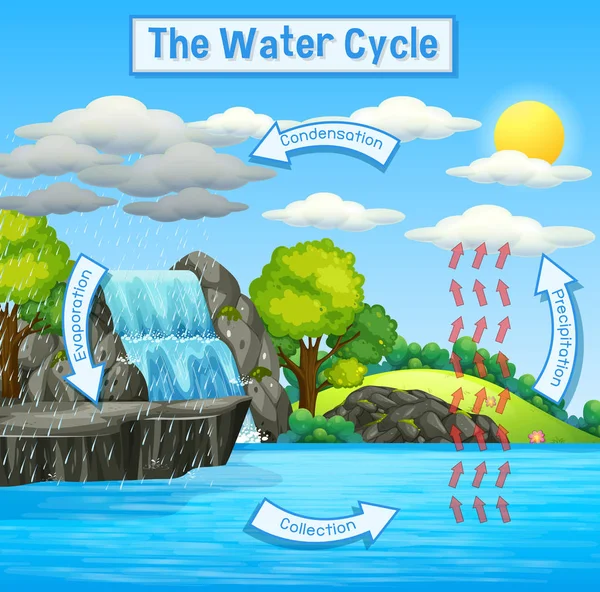 Cycle de l'eau de la Terre — Image vectorielle