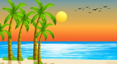 Boş doğa plaj okyanus kıyı manzara