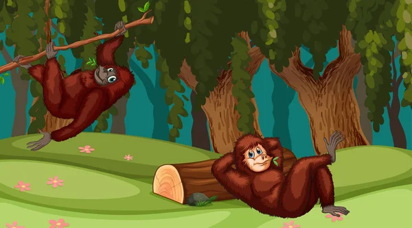 Oranghi nella scena della giungla — Vettoriale Stock