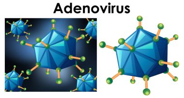 Virüs adı adenovirüs izole nesne yakın