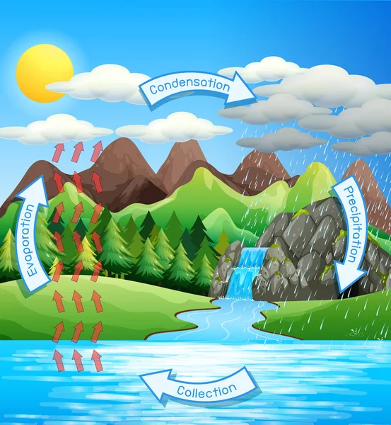 Процес водного циклу на землі-наукова — стоковий вектор