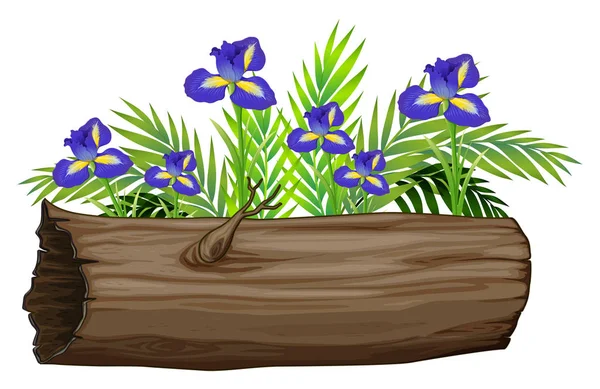 Iris květiny a dřevěná kláda na bílém pozadí — Stockový vektor