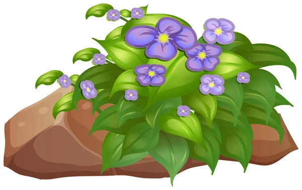 白い背景に紫の花と岩 — ストックベクタ