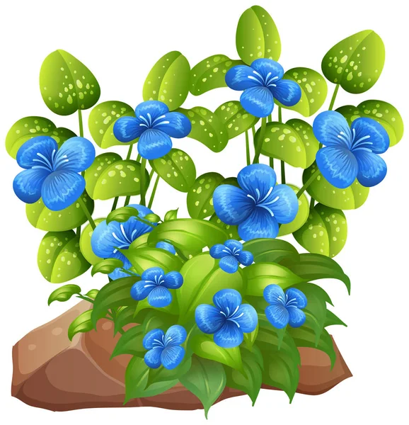 Flores azules con hojas sobre fondo blanco — Vector de stock