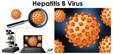 Hepatit B virüsünün izole nesnesini yakınlatın