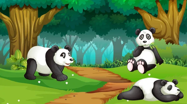 Pandas en escena de madera — Vector de stock