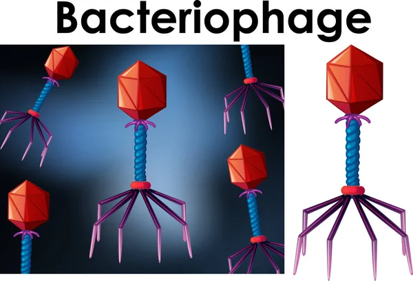 Закрыть изолированный объект вируса Бактериофаг — стоковый вектор