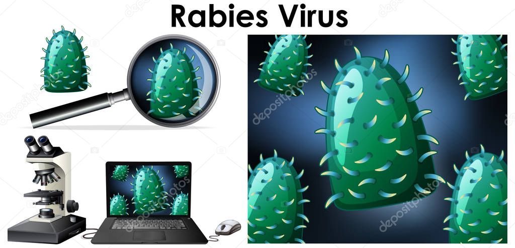 Close up isolated object of virus name Rabies virus