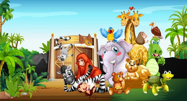 Molti animali carini allo zoo — Vettoriale Stock
