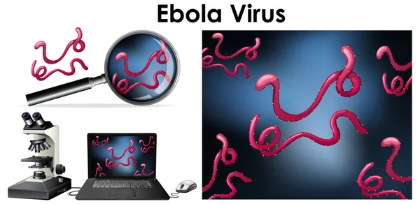 Close up isolated object of virus Ebola — Stock Vector