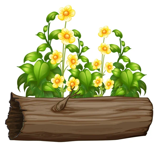 Flores y tronco de madera sobre fondo blanco — Vector de stock