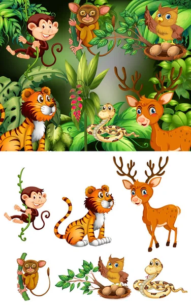 Many animals in the forest — Stock Vector