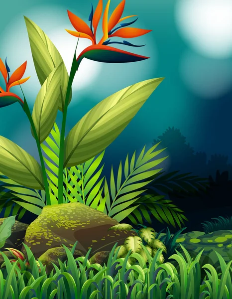 Escena de naturaleza con pájaro del paraíso en jardín — Vector de stock