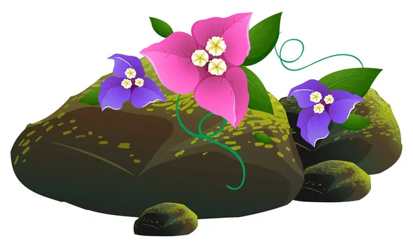 Flores y rocas rosas y púrpuras sobre fondo blanco — Vector de stock
