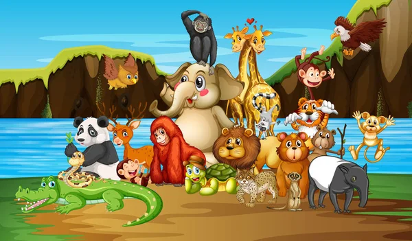 Many animals by the river — Stock Vector