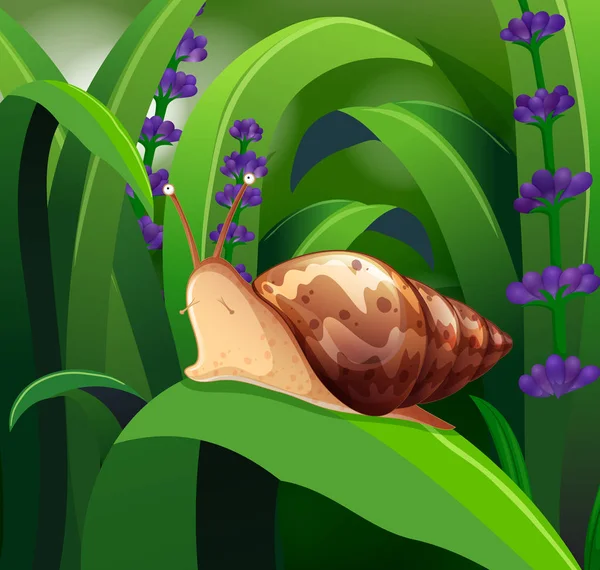 Escena de la naturaleza con caracol en hoja verde — Archivo Imágenes Vectoriales