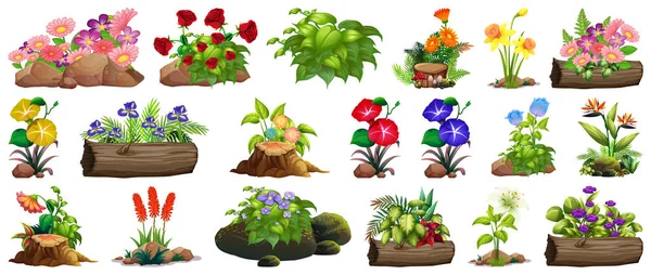 Large set of colorful flowers on rocks and wood — Stock Vector