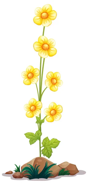 Sluneční květiny na dlouhém stonku — Stockový vektor