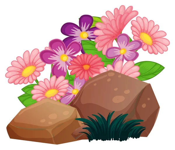 Blommor och stenar på vit bakgrund — Stock vektor