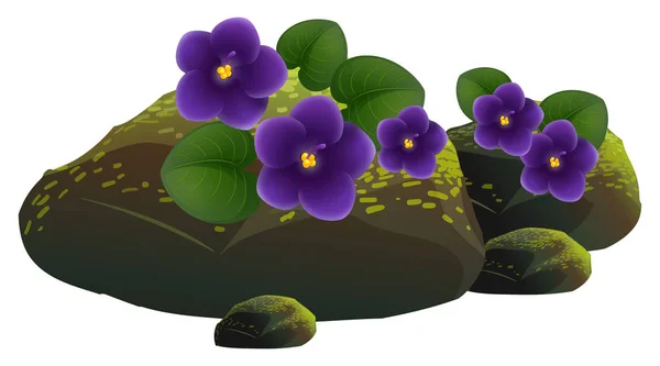 Fiori viola e rocce su sfondo bianco — Vettoriale Stock