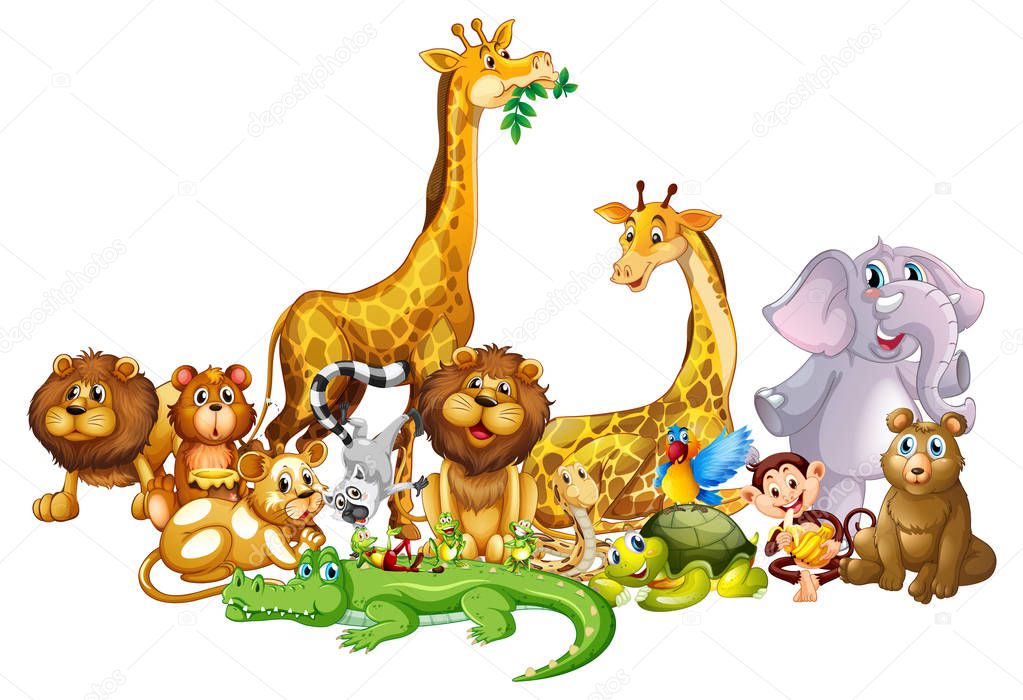 Many animals on white background