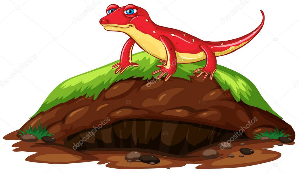 Nature scene with red gecko on hill