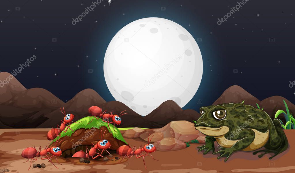 Nature scene with ants and toad at night
