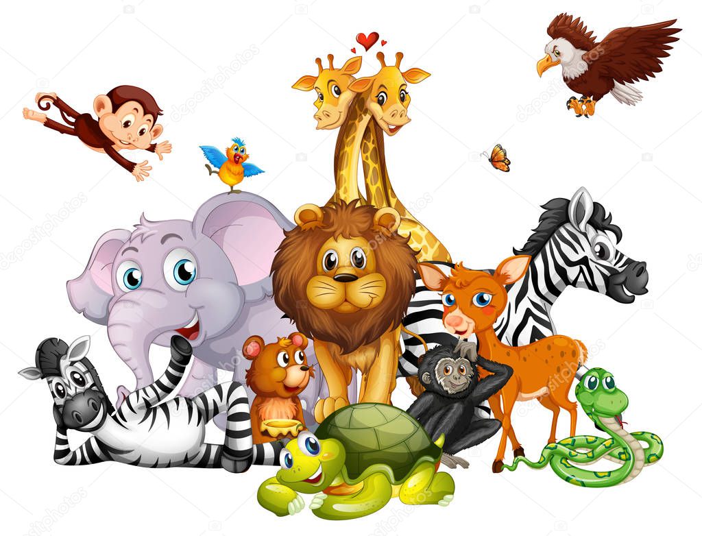 Cute animals on white background