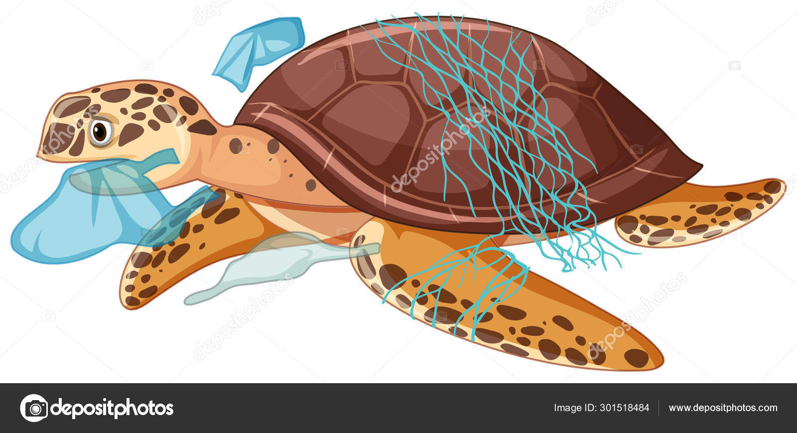 Vacances avec Enfants : Itinéraires de Découverte des Tortues 2025 - Europa  Tips, image size:1600x869