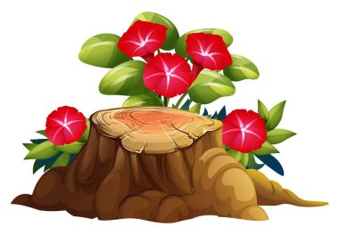 Beyaz arka plan üzerinde kırmızı sabah zafer ve kütük ahşap