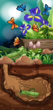 Çekirge ve kelebek ile doğa sahnesi